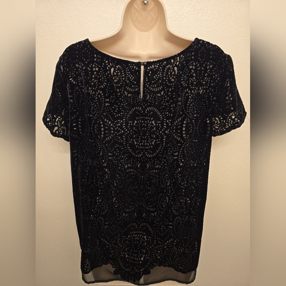 EUC Loft black Velvet Burnout Lace Short Sleeve Blouse - Picture 5 of 5